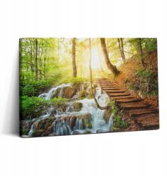 Wallfluent Vászonkép Canvas Ökológiai A dolgozószobába Patak és Lépcső az erdőben 30x20 (010030010150000074861)