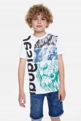 Desigual Fehér Nyomott Mintás Póló (5-6L) (20SBTK06_1000)