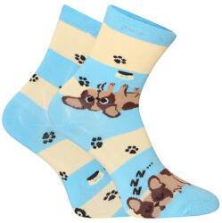 Dedoles Happy Kids zokni Dedoles Kutyák és csíkok (GMKS123) 27/30