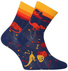 Dedoles Happy Kids zokni Dedoles Dinoszauruszok világa (GMKS174) 27/30