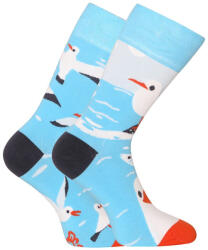 Dedoles Happy Socks Dedoles Sirály (D-U-SC-RS-C-C-1459) L