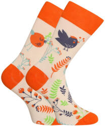 Dedoles Happy Socks Dedoles Aranyos kis madarak (D-U-SC-RS-C-C-1569) S