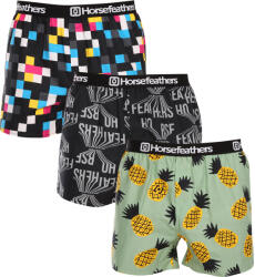 Horsefeathers 3PACK Férfi bő szárú boxeralsók Horsefeathers Frazier Bundle 4 (AM096F) XXL