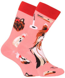 Dedoles Happy Socks Dedoles Yorkshire Terrier (GMRS215) M