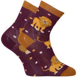 Dedoles Happy Kids zokni Dedoles A dzsungel királya (GMKS184) 31/34