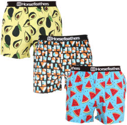 Horsefeathers 3PACK férfi bő szárú boxeralsó Horsefeathers Frazier többszínű (AM166H34ZW) XXL