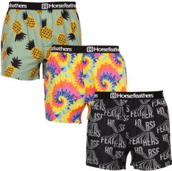 Horsefeathers 3PACK férfi bő szárú boxeralsó Horsefeathers Frazier (AM166BCD) XL