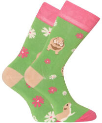 Dedoles Vidám bambusz zokni Dedoles Gopher (D-U-SC-RS-C-B-1555) M