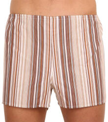 Foltýn Klasszikus férfi bő szárú boxeralsó Foltýn barna csíkokkal (K53) XL