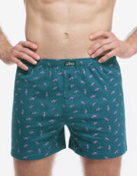 Gino Férfi bő szárú boxeralsók Gino zöld (75217-DZMDFR) XL