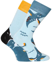 Dedoles Vidám bambusz zokni Dedoles Jégmadár (D-U-SC-RS-C-B-1552) S