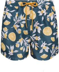 Dedoles Vidám férfi fürdőnadrág Dedoles Narancsok (D-M-BW-SSH-C-RP-1583) XL