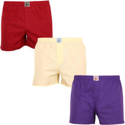 Dedoles 3PACK férfi bő szárú boxeralsók Dedoles többszínű (LB10001748) S