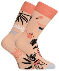 Dedoles Happy Socks Dedoles szobanövények (GMRS233) L