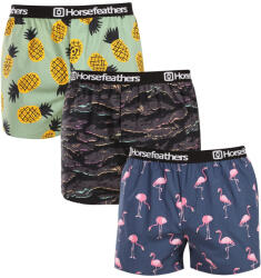 Horsefeathers 3PACK férfi rövidnadrágHorsefeathers Frazier csomag 9 (AM096L) L