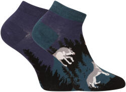 Dedoles Happy Socks Dedoles Wolf a telihold alatt (GMLS210) L