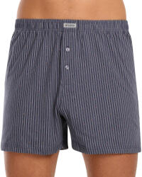 Andrie Férfi bő szárú boxeralsók Andrie szürke (PS 5752-grey) XXL