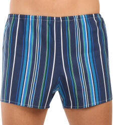 Foltýn Klasszikus férfi rövidnadrágFoltýn kék csíkok (K60) L