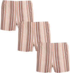 Foltýn 3PACK Klasszikus férfi bő szárú boxeralsók Foltýn barna csíkokkal (3xK53) L