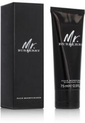 Burberry Mr. Burberry nappali arckrém minden bőrtípus 75 ml férfiaknak
