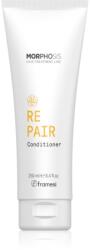 Framesi Morphosis Repair възстановяващ балсам за суха коса, изтощена коса 250ml