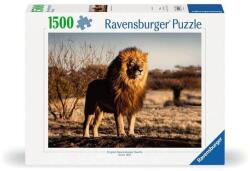 Ravensburger 1500 db-os puzzle - Oroszlán, az állatok királya (12000733) (12000733)