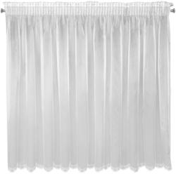 Eurofirany Eliza fényes mikrohálós fényáteresztő függöny hímzéssel Fehér 300x145 cm (HS417810)