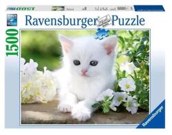 Ravensburger 1500 db-os puzzle - Fehér cica (12000706) (12000706)