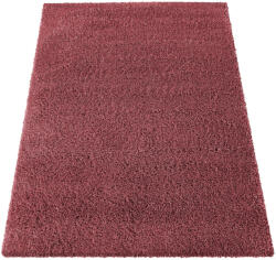 Dywanopol Santo Piros 120x170 cm Szőnyeg