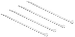 Delock Cable ties transparent L 100 x W 2.5 mm 100 pieces 18605 (18605)