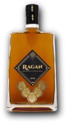  Ragan 40% 0, 7L