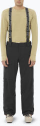 Salomon Pantaloni de schi pentru pentru bărbați Salomon Brilliant deep black