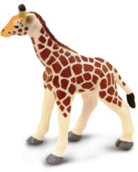 Safari Ltd Safari® Pui de girafă (S100422) Figurina