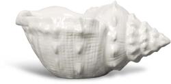 Byon castron Awa S 99KK-KBU49H_00X (5260919503) Tava