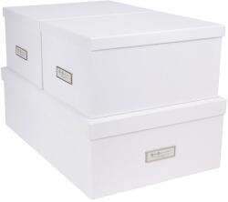 Bigso Box of Sweden - set de cutii de depozitare Inge (3-pack) 99KK-AKU1D9_00X (811345541)