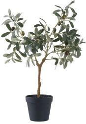 House Nordic plantă artificială în ghiveci Olive Tree 99KK-DRU0A8_79X (9501002)