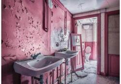 Ravensburger 12000273 - Lost Places Edition - Rózsaszín álmok - 1000 db-os puzzle (12000273)