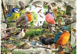 Ravensburger 12000328 - Tollas barátaink - 1000 db-os puzzle (12000328)