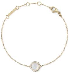 Daniel Wellington brățară placată cu aur 99KK-AKD96D_GLD (DW00401423)