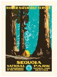 PLAKAT decorațiune de perete Sequoia 30 x 40 cm 99KK-DEU604_MLC (KB1208PLAKSEQUOIA)