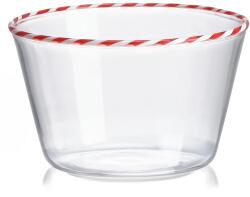 IVV set de boluri 450 ml 4-pack 99KK-ZSU07C_TSP (8936.1) Castron