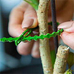  Műanyag kötöző, 16.5 cm hosszú, zöld színű (40 darab), oldható (11490)