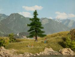 Noch 21810 Nordmanntanne (4007246218103)