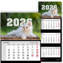 Háromrészes naptár 2026 Irodai év Függő Fali Fehér Macska Mix Wz (Kalendarz 2026 RokBiały Kot Wz)
