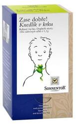 SONNENTOR Nyakba akasztható gombóc, adagolt tea, Bio, 18 db (466861)