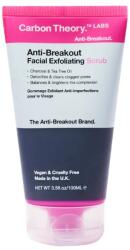 Carbon Theory Carbon archoz habkő és citromsav 100ml (CTFSTTOCAEU)