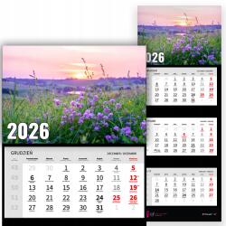  Háromrészes Fali Naptár 2026 Irodai Év Természet Rét Mix Minták (Kalendarz Naścienny 26 Łąka Wzory)