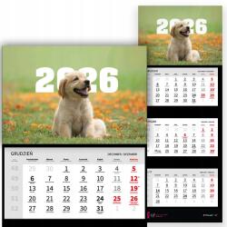  Háromrészes Naptár 2026-re Irodai Falra szerelhető Kiskutya Mix Wz (Kalendarz 2026 RokZ Szczeniaczkiem Wz)