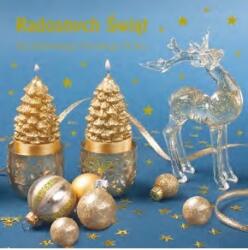 Pol-Mak Bérlet Babérkép Karácsonyi Képeslap Bn Boríték (43943)