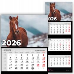 Plaka_TY Háromrészes naptár 2026 Irodai év Falra akasztható Természet Lovak Minták (Kalendarz Ścienny 26 Konie Wzory)